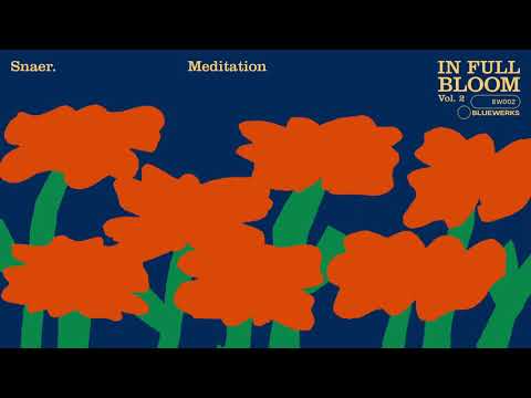 Bluewerks - Snaer - "Meditation"