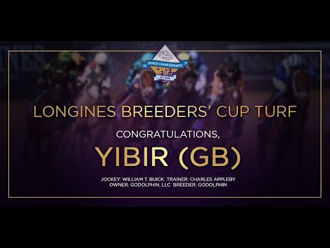 2021 Longines Breeders' Cup Turf- YIBIR (GB)