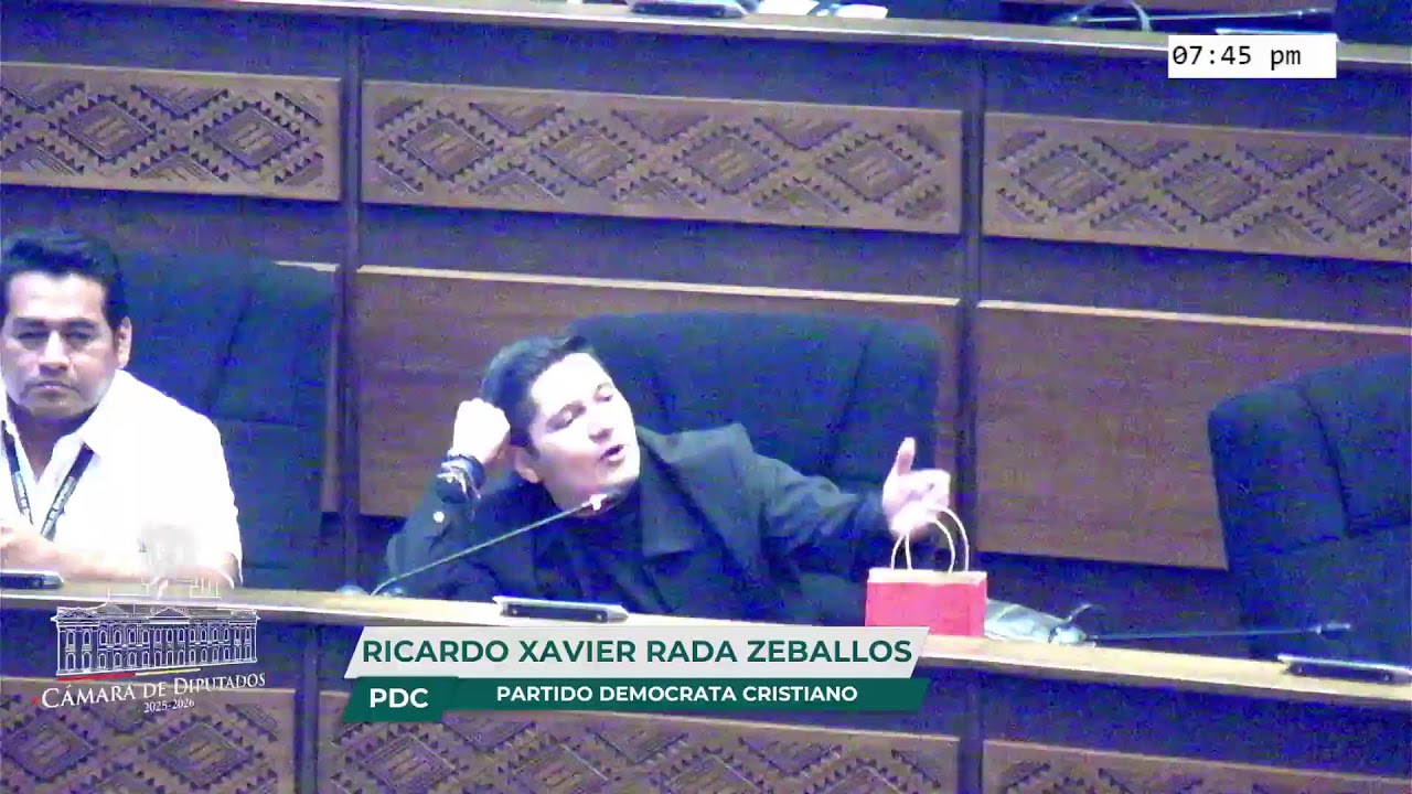 19a Sesión Ordinaria - Cámara de Diputados