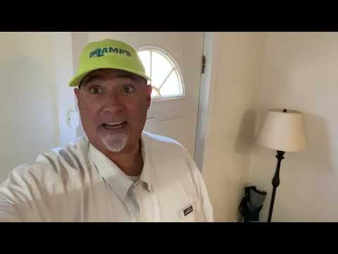 Do Bed Bug sprays and Bombs work?