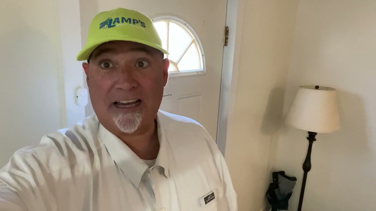 Do Bed Bug sprays and Bombs work?