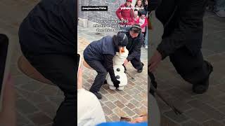 Nvidia's AI-powered Olaf melts down. ❄️