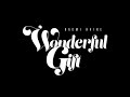 Wonderful Gift