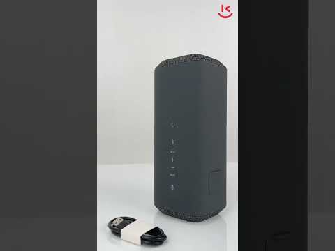 Portativ akustika  Sony SRS-XE300 / SRS-XE300/BCE Black 