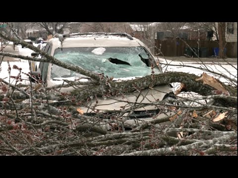 02-11-2021 Lexington, KY - Ice Storm Aftermath