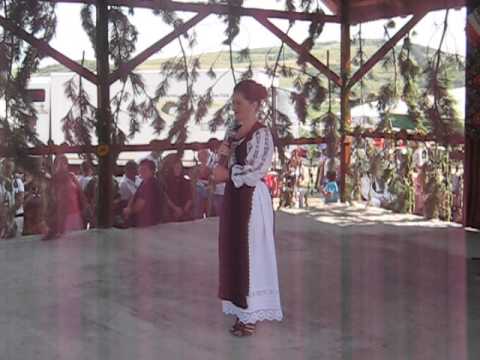 28 Festivalul Cununa Spicului de Grau - Craiesti Mures - 28 iulie 2013 - MVI 4411