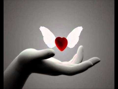 Hino - A voz do coração (Fernando Beltran)