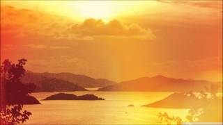 Shearwater - An Insular Life