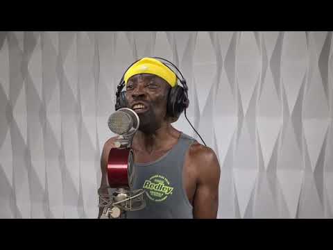 DEIXA A VIDA ME LEVAR - Serginho Meriti e Eri do Cais