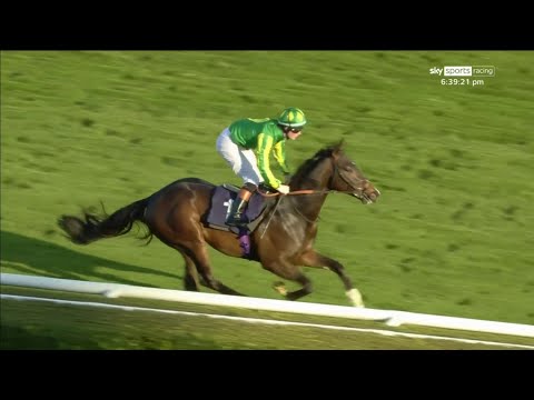 Royal Ascot 2YO? Brave Nation is RAPID at Doncaster on debut!