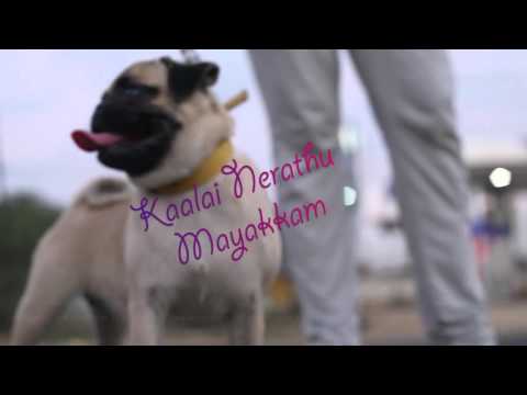 KAALAI NERATHU MAYAKAM MOTION POSTER