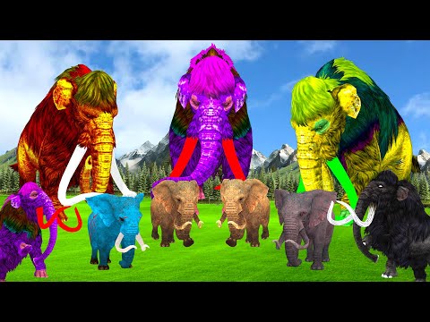 10 Woolly Mammoth Vs 5 Monster African Elephant Battle Compilation in Wild Animal Kingdom