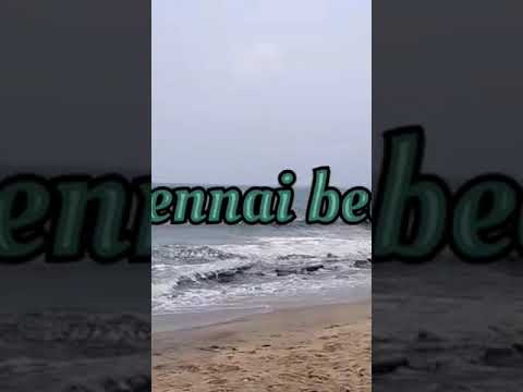 neelangarai beach...., gorgeous untouched beach with full turtles to walk along the lengthy beach ⛱️