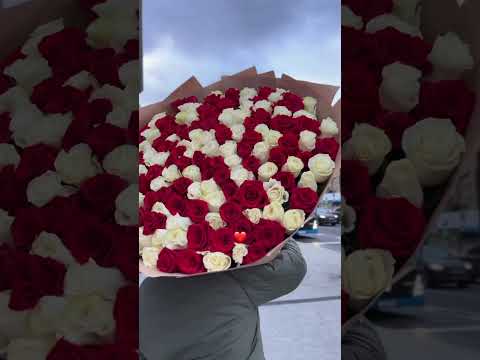 11 декабря 2024 г.