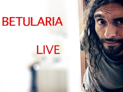 Betularia - Nuova3 - Live@Carrara 2004