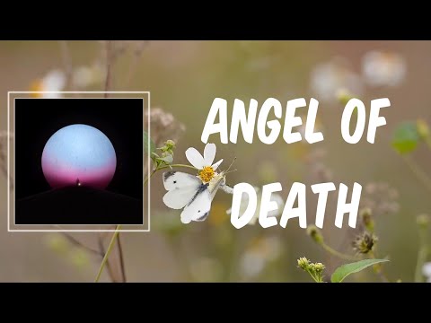 Angel Of Death (Lyrics) - Manchester Orchestra