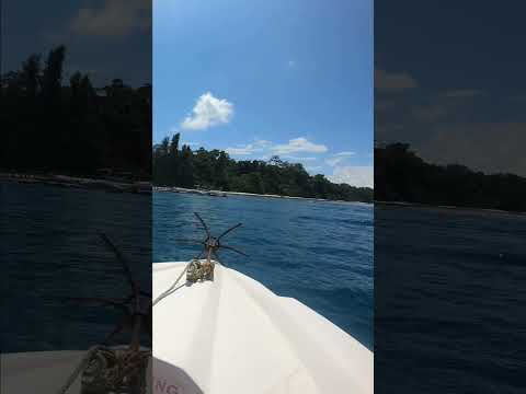 Best adventures beach 😱👌🏼😍 of A&N ~ Elephant 🏝️#shorts #youtubeshorts