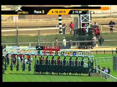 Pimlico 04/19/15 race 3