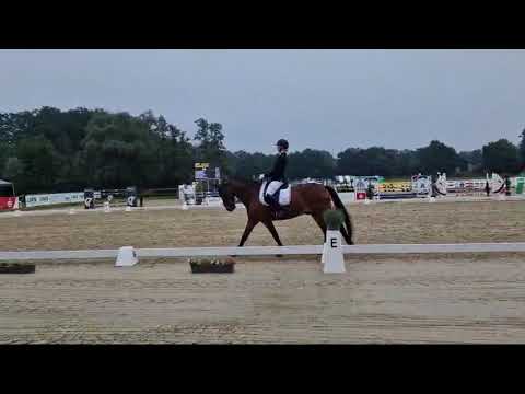 L Dressur (L3), Rock for Joy, 5.Platz mit 7,1