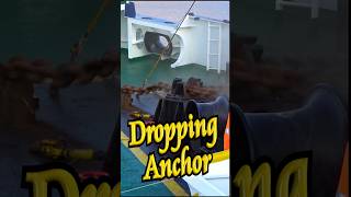 🚢 Dropping Anchor ⚓