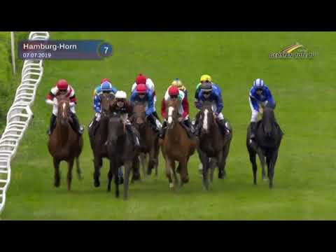 Steher Auktionsrennen - Auction Race Hamburg 2019