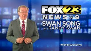 Swan Song: When insults evolve into political bullying