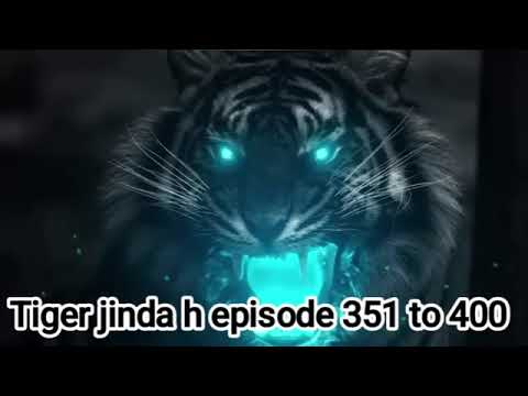 The return of tiger episode 351 to 400//the return of tiger episode 350 to 400//The return of tiger 