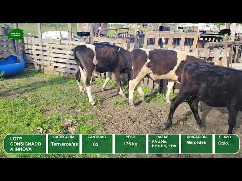 Video del lote L0-000844