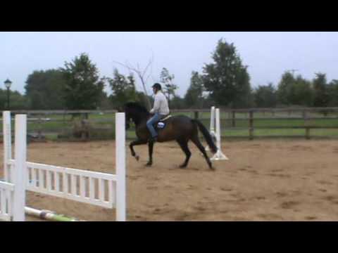 By Now or Never Video 1