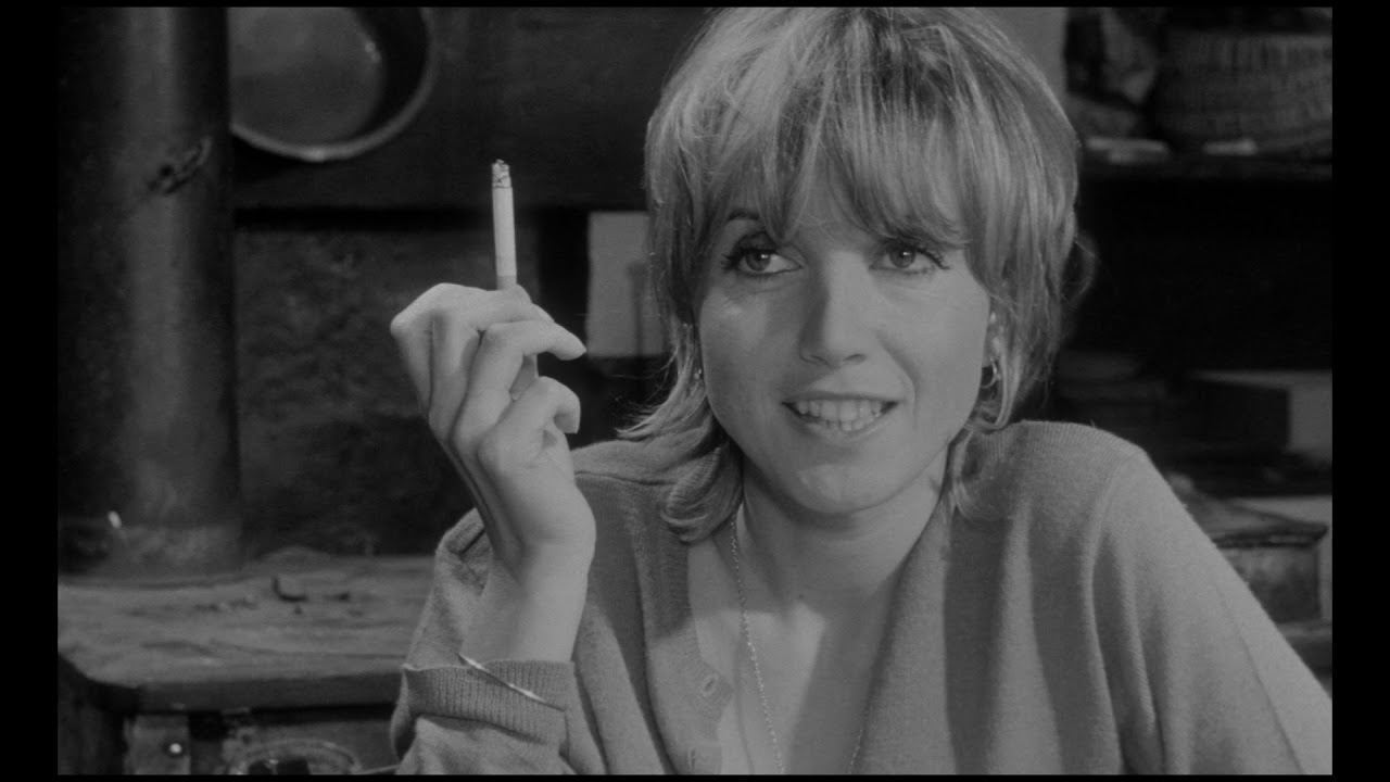 Miniature de la vidéo LA SALAMANDRE - Bande Annonce VF du film La Salamandre