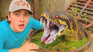 I Found a Sewer INFESTED with Deadly Snakes!