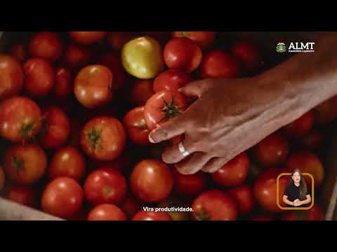 Informe publicitário: ALMT - Lei igualdade racial