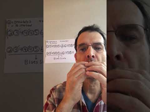 Learn How to Play the Second Position Blues Scale on the Harmonica