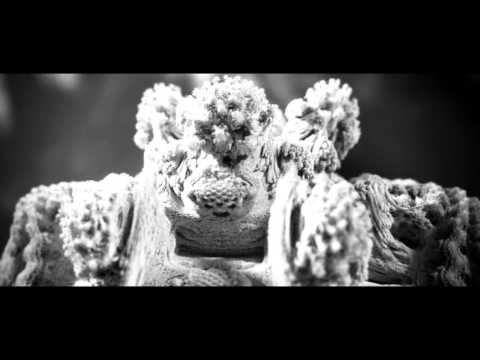 Vegim & Flekitza @ Exit Festival 2016