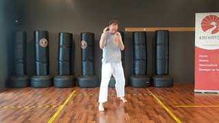 Ruitenwisser | voorbeeld