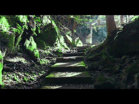 Elijah Nang - Bonsai