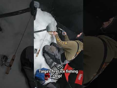 Taiga the #icefishing Puppy! #laketrout #fishing #livescope #saskatchewan
