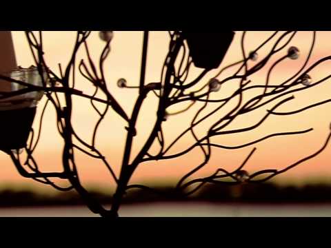 download lagu mp3 mp4 Charleston Sc Weddings On A Budget, download lagu Charleston Sc Weddings On A Budget gratis, unduh video klip Charleston Sc Weddings On A Budget