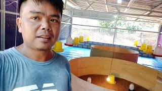 Download lagu Projek Ternakan Ayam Kampung Kacukan, part 1-Reban Ternakan mp3 Download lagu Projek Ternakan Ayam Kampung Kacukan, part 1-Reban Ternakan mp3