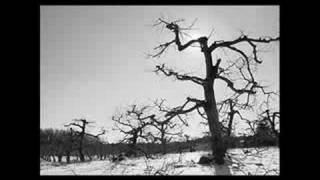 Krieg - An Empty Room A Forgotten Funeral