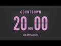 20 Minutes Countdown Flip Clock Timer / Simple Beeps 💕🖤
