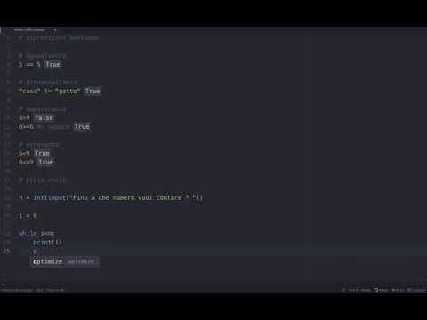 Il ciclo While e le espressioni booleane con Python
