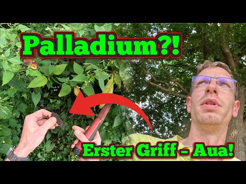 Zwischen Bauschutt und Unkraut – die Suche nach dem wertvollen Palladium-Ring