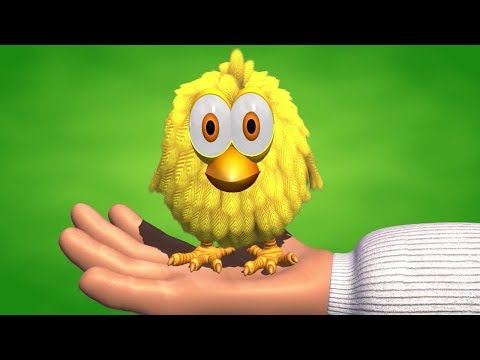 El Pollito Amarillito - Canciones de la Granja de Zenón 2
