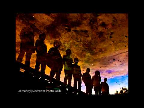 green bird by ANNIE'S BAND