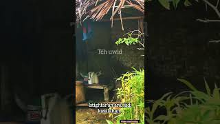 Download lagu samemeh sare sok ikhlaskeun anu henteu sajalan jeung harepan.. #papatahsunda #pepelingdiri mp3