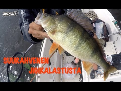 ISOJA AHVENIA MERELTÄ | ABBORRE FISKE