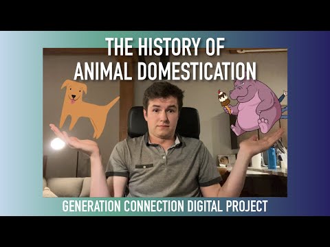 Generation Connection: The History of Animal Domestication