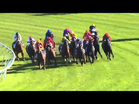 TJ SMITH STAKES 2016