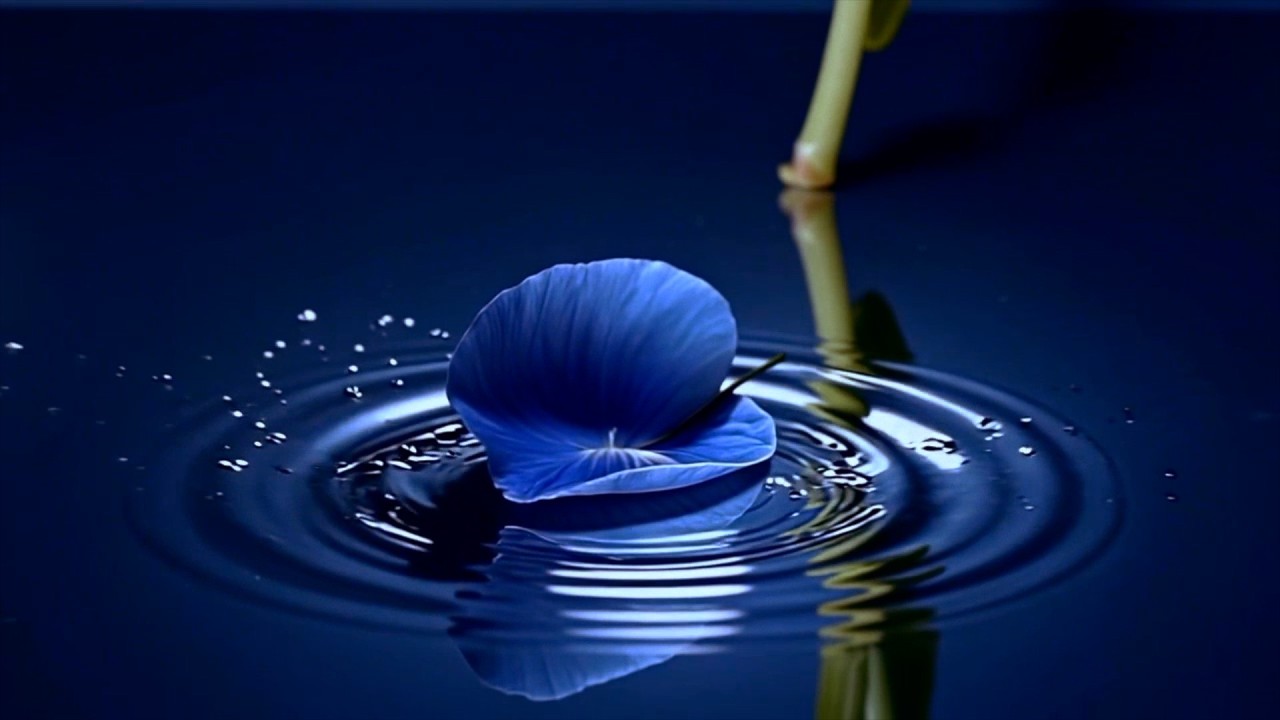 Sounds M — "A Secret Unspoken" | Neoclassical Piano by Mayumi Masuya